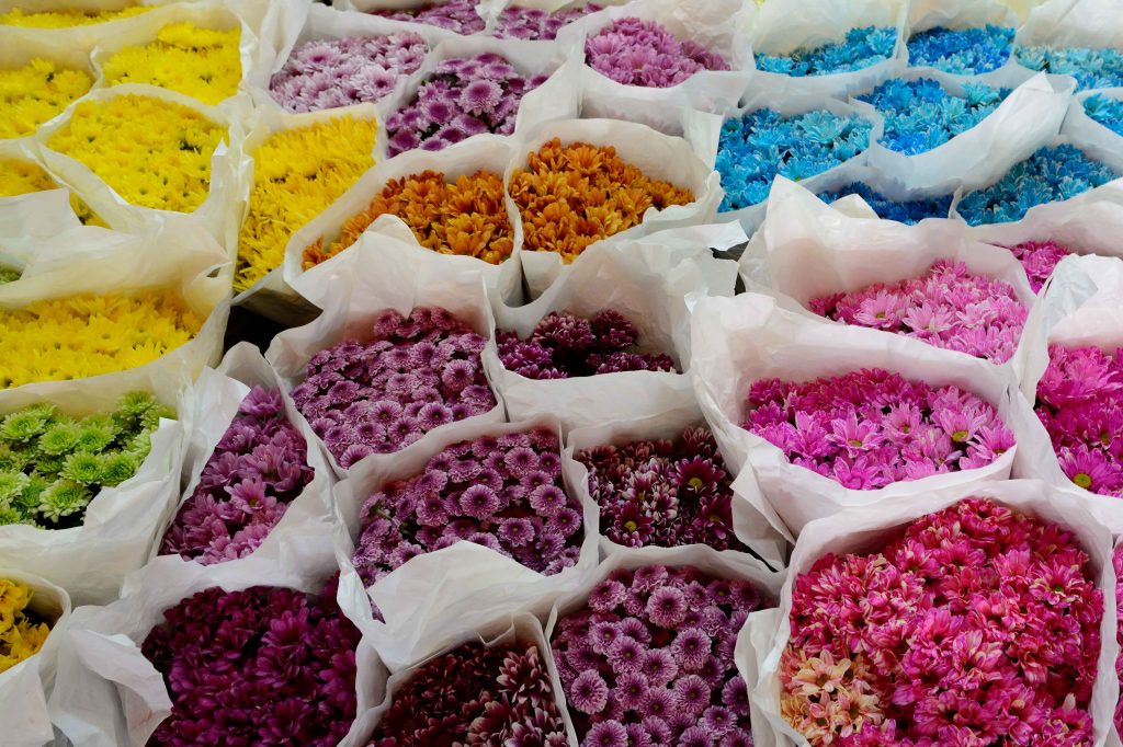 mark captain luxuriate