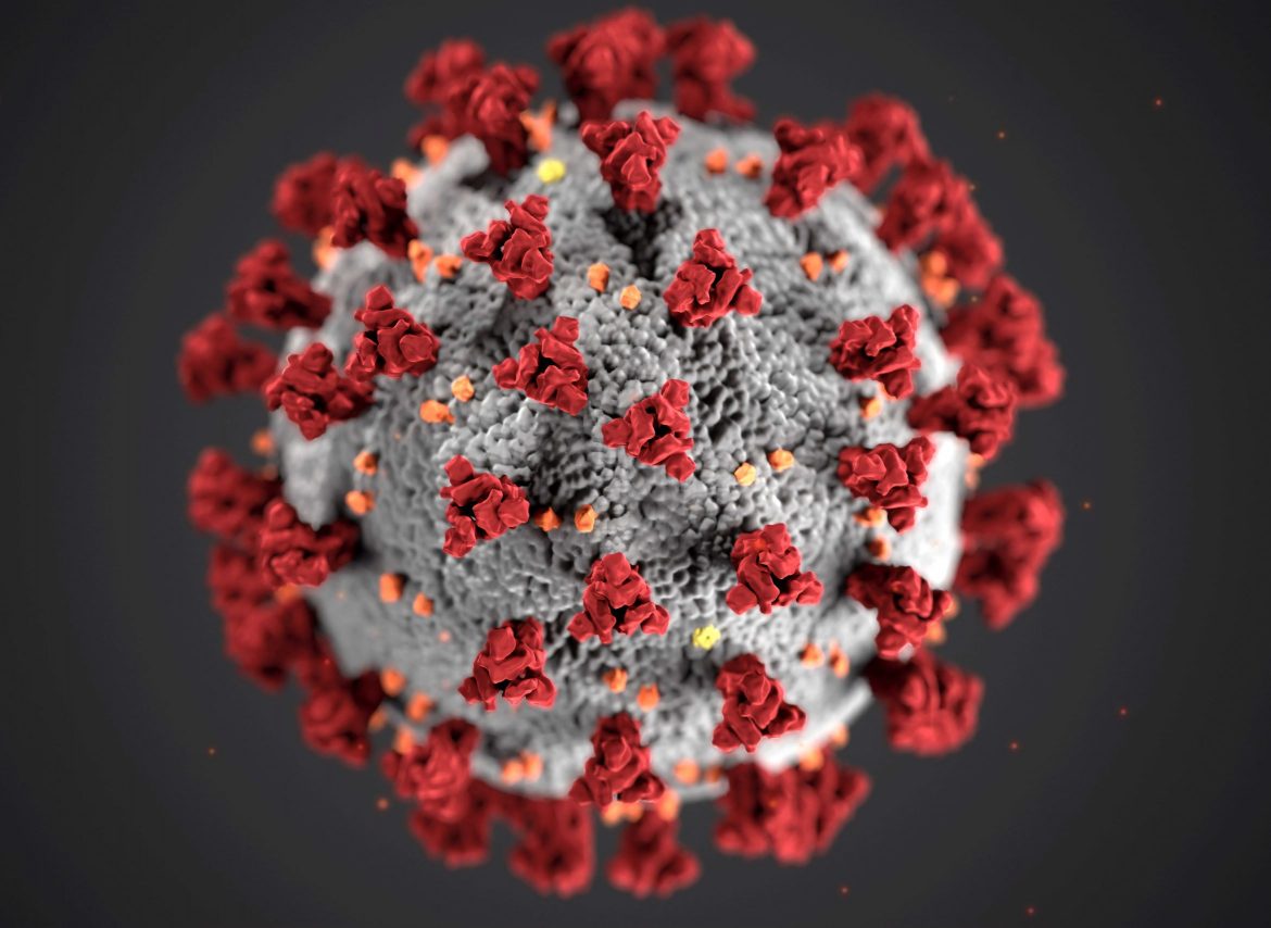 coronavirus