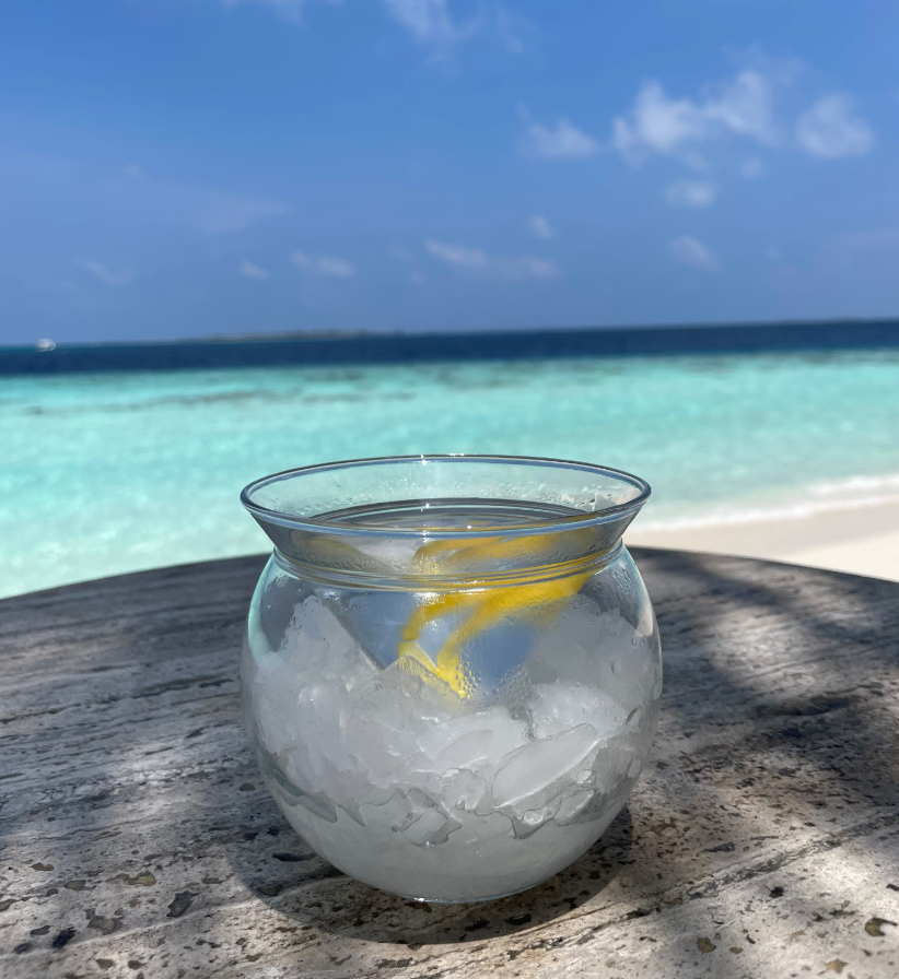 Hurawalhi Island luxury Maldives resort for adults gin martini - Luxuriate Life Magazine