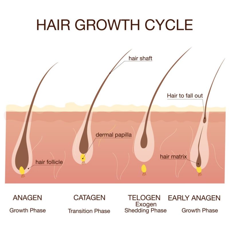 Diolaze Laser hair removal with Vie Aesthetics Luxuriate Life Magazine