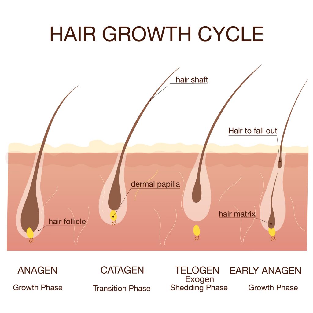iRestore Laser Hair Growth System Essential 2.0 | Revolt-beauty.com
