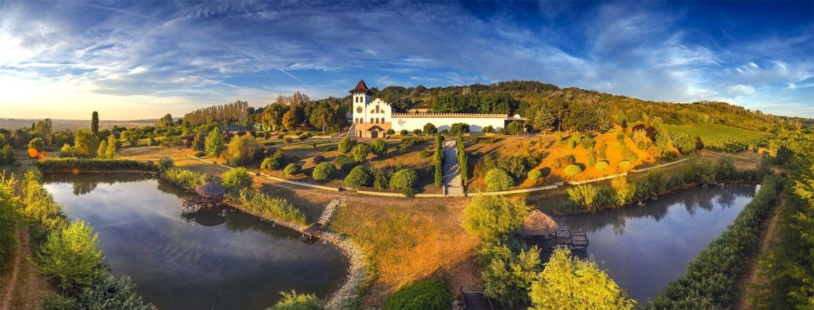 The Most Beautiful Wineries to Visit this Autumn