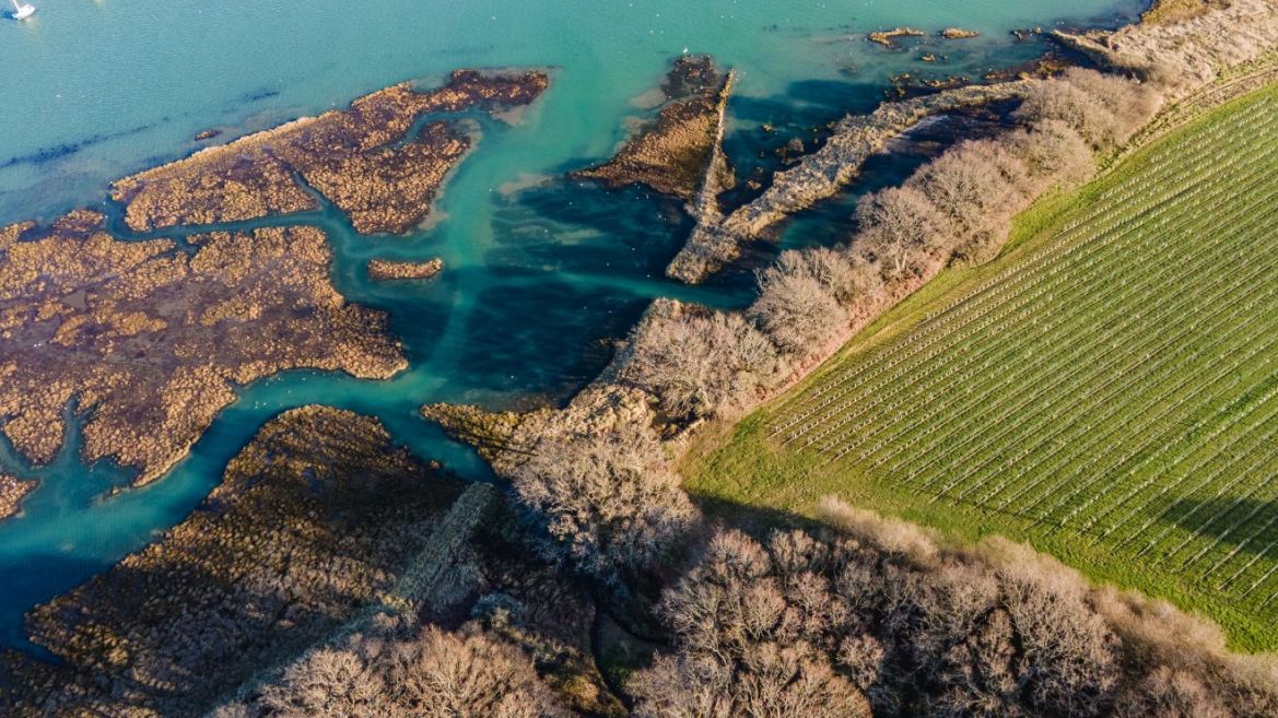 Isle of Wight charm and modern elegance: The Pinkmead Estate & Vineyard