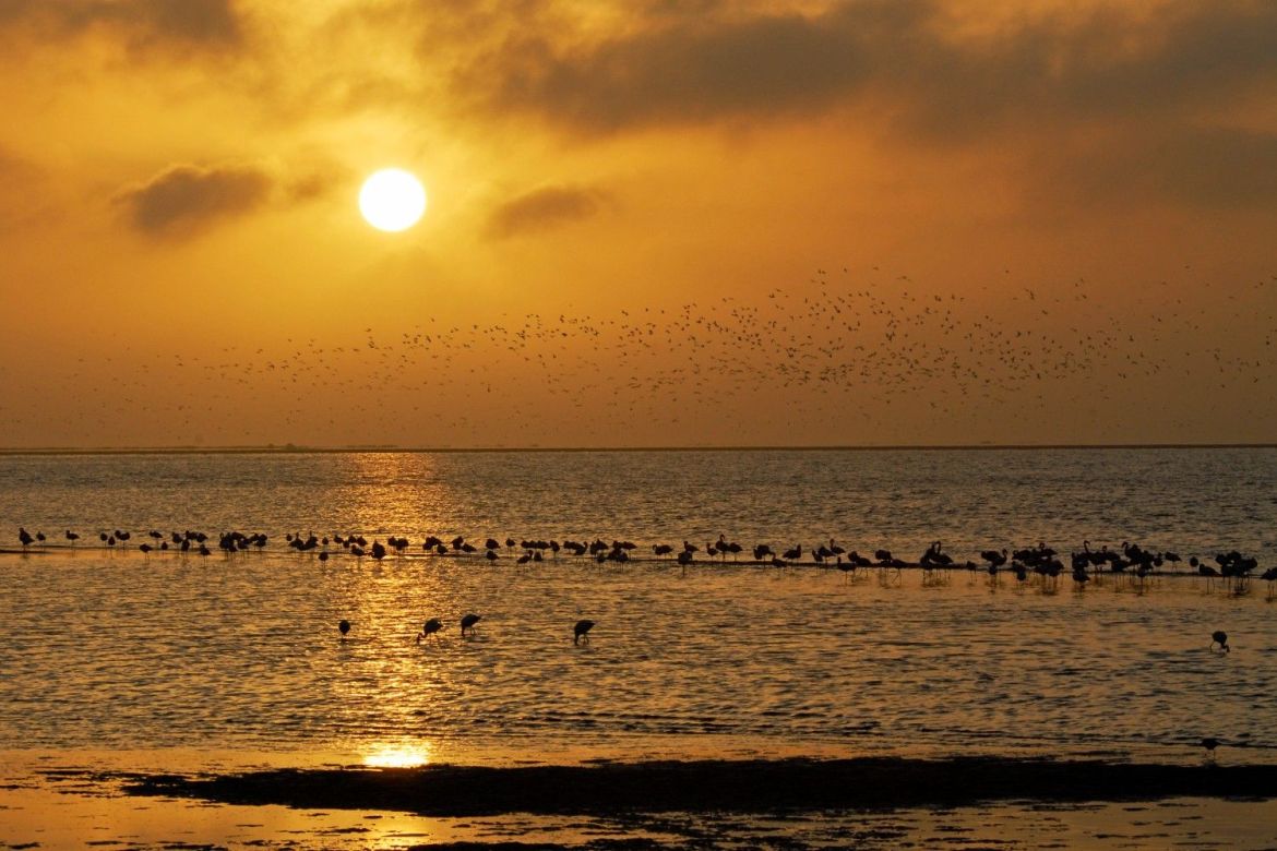 A thrilling day with Mola Mola Safaris, Namibia