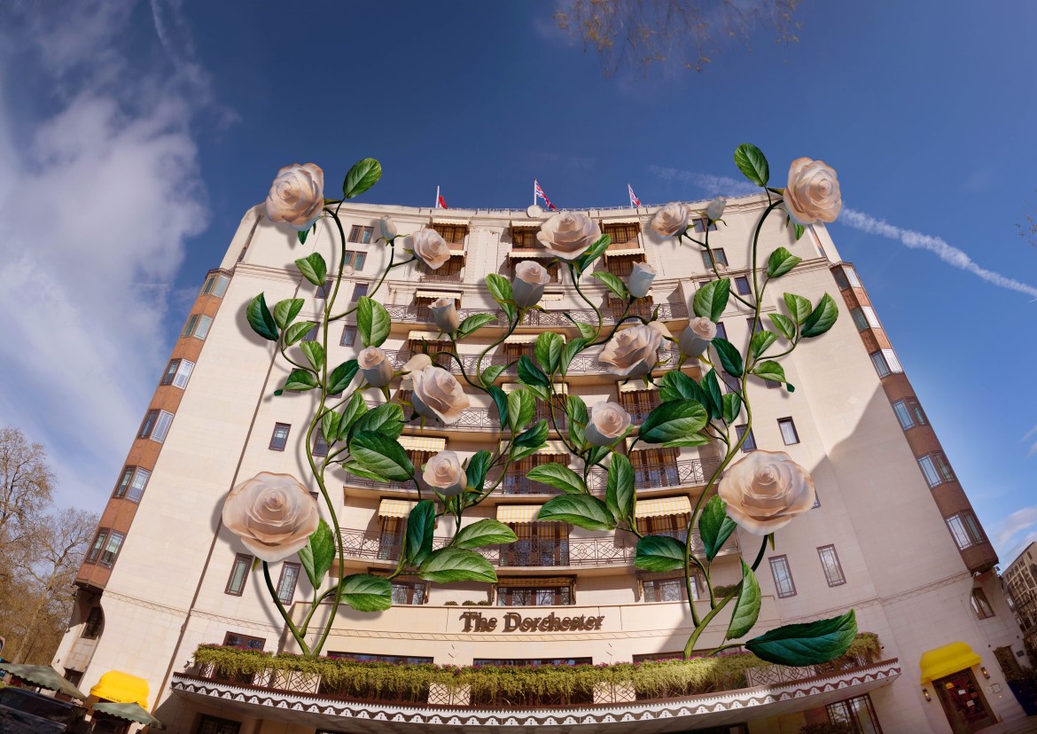 The Dorchester in Bloom – Floral activations for 2024