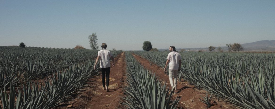Inside SUAVE Tequila: A Moment with Tequila Trailblazer Deborah Ernst