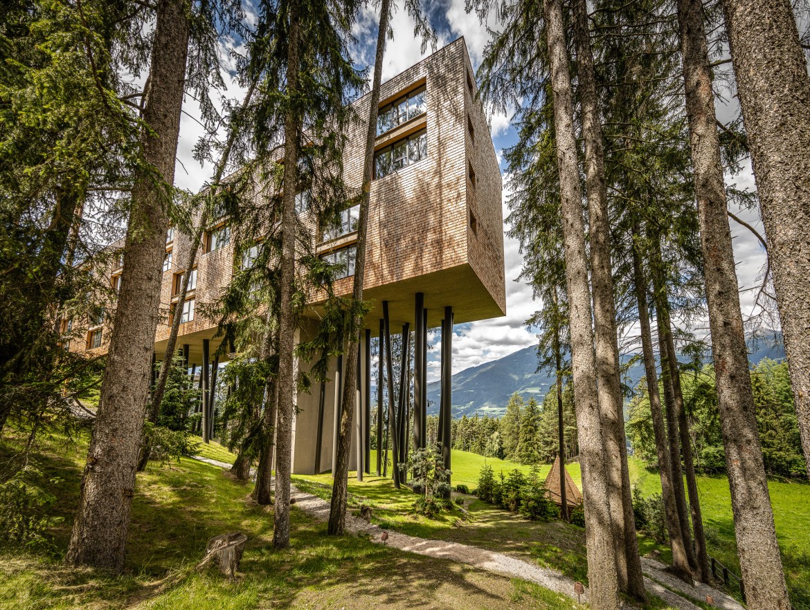 A Tree Hotel Experience at My Arbor, South Tyrol