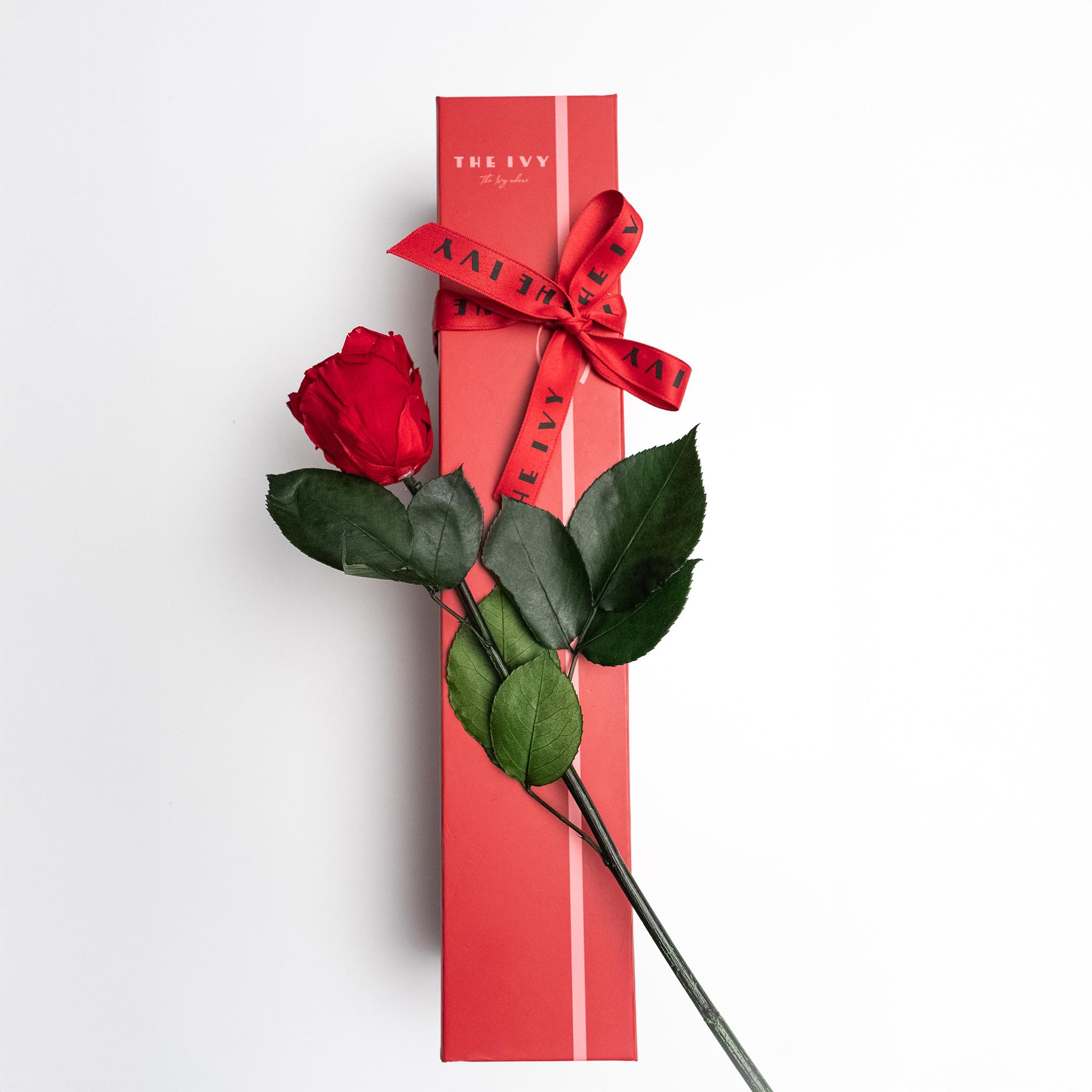 Valentine's Day 2025