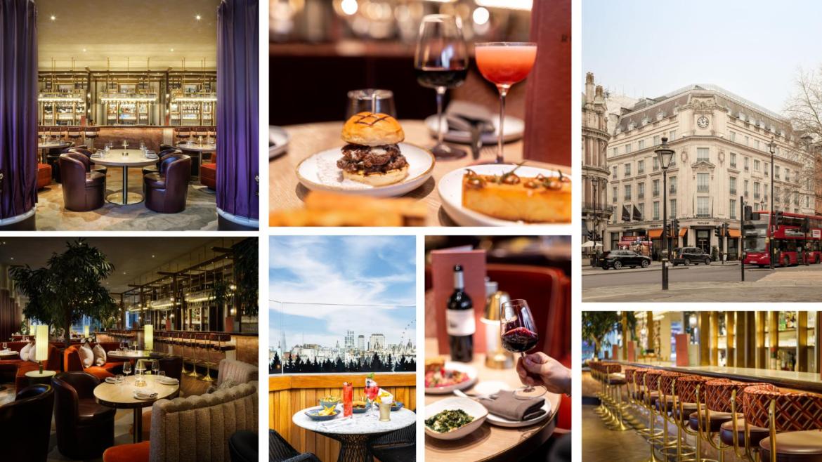 Rockwell: A Wine Bar Sanctuary in the Heart of London