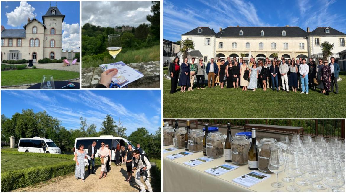 Loire Valley: France’s Most Seductive Wine Region