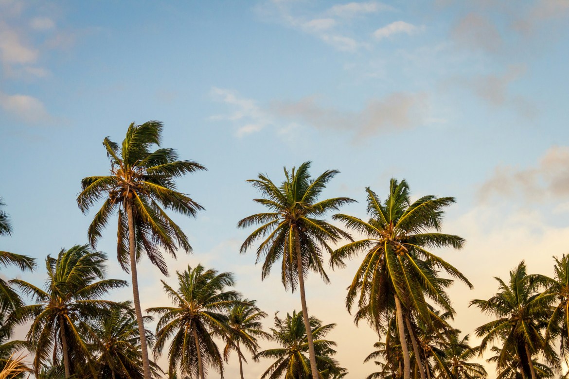 The Luxuriate Life Summer Gift Guide 2026