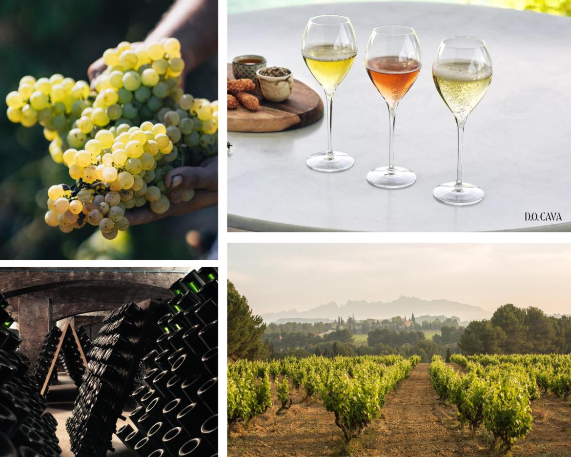 The Sparkle of the Cava Region: A weekend with D.O. Cava