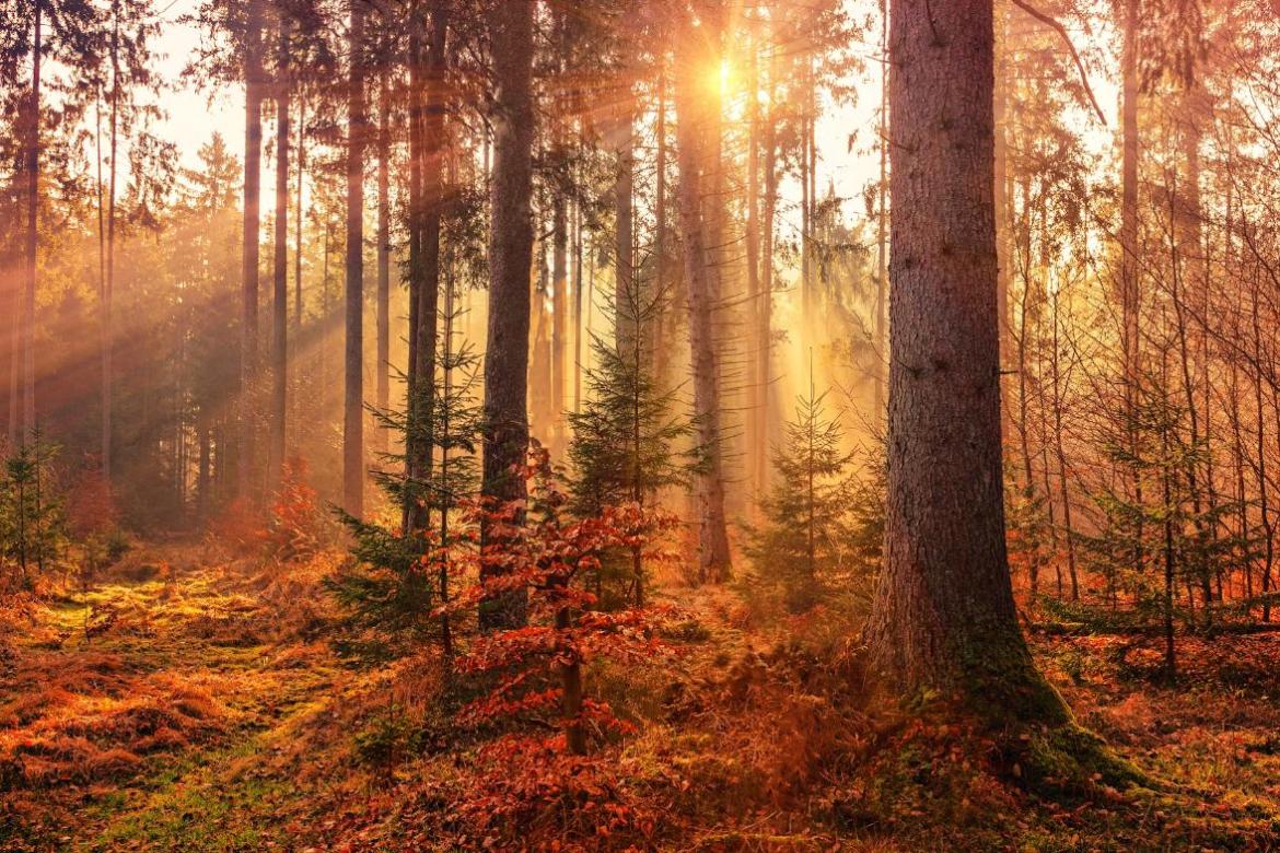The Luxuriate Life Autumn Gift Guide 2026